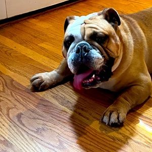 Meet your Posher, Valerie